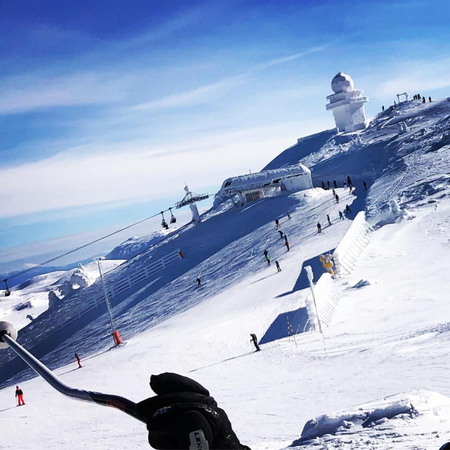 Wolf Apartments Jahorina Exterior photo
